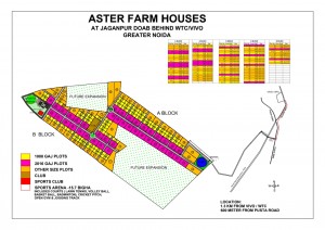 aster farms 230216 133919